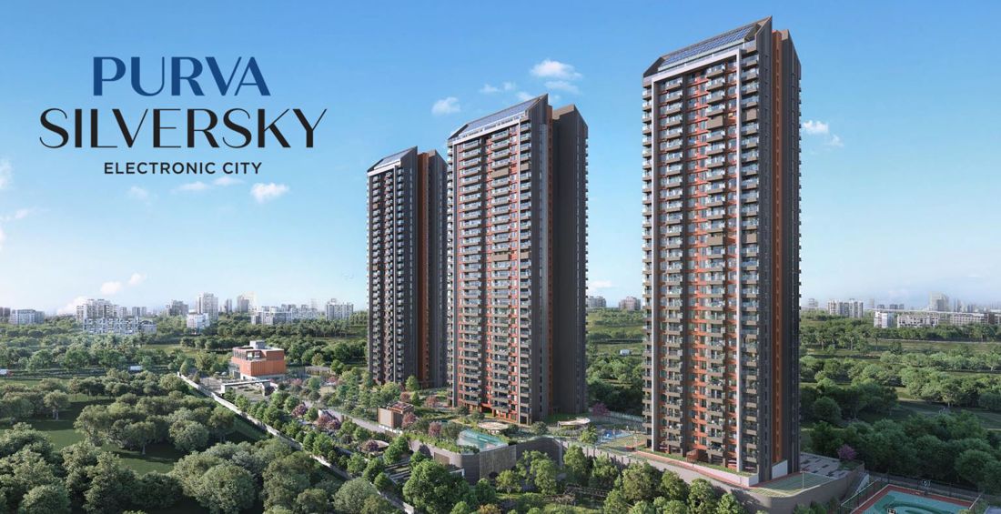 Purva Silver Sky image1